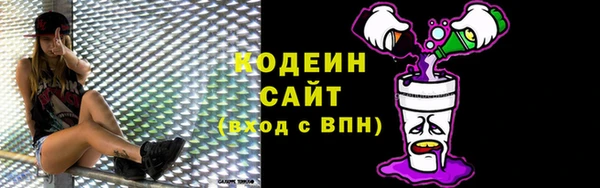 дживик Вяземский