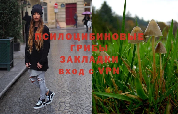 дживик Вяземский