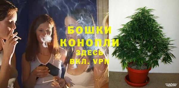 дживик Вязники