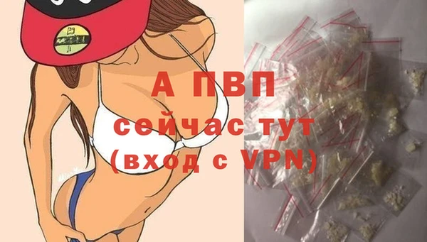 дживик Вяземский